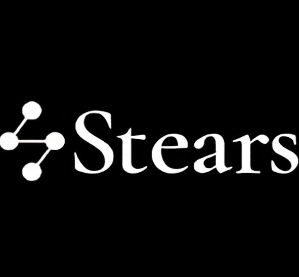 Stears, Data Research Analyst. (2024 - Present)